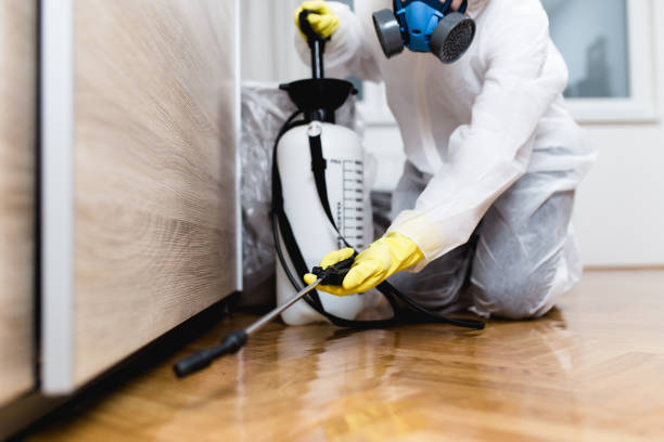 Best Best Pest Control Companies  in Dexter, NM
