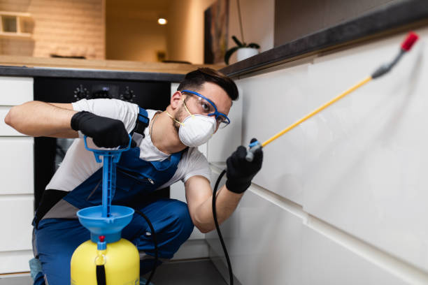Best Local Pest Control Services  in Dexter, NM