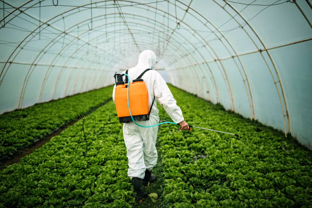 Best Best Pest Control Companies  in Dexter, NM