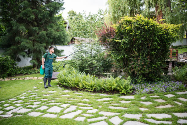 Best Pest Removal Services  in Dexter, NM