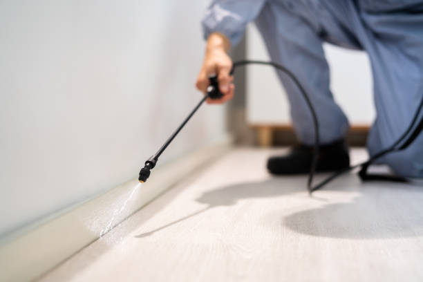 Best Commercial Pest Control Services  in Dexter, NM