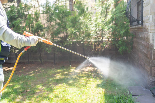 Wasp Removal Services in Dexter, NM
