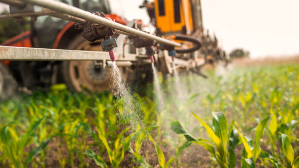 Best Pest Prevention Services  in Dexter, NM